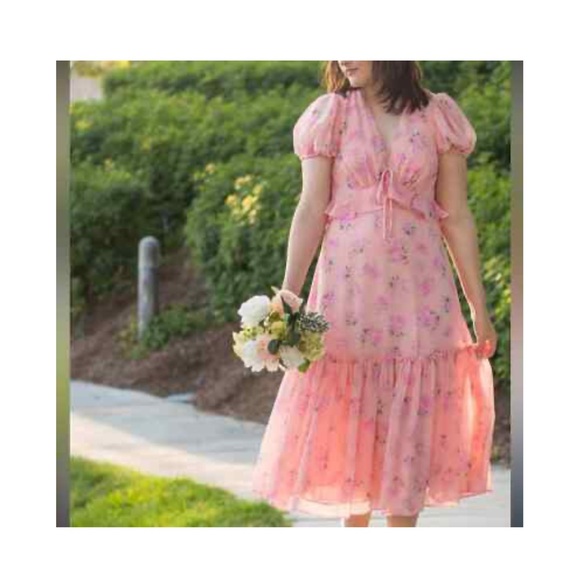LoveShackFancy X Target Fleur Floral Pink Melon Midi Dress Sz 6 - Picture 5 of 9